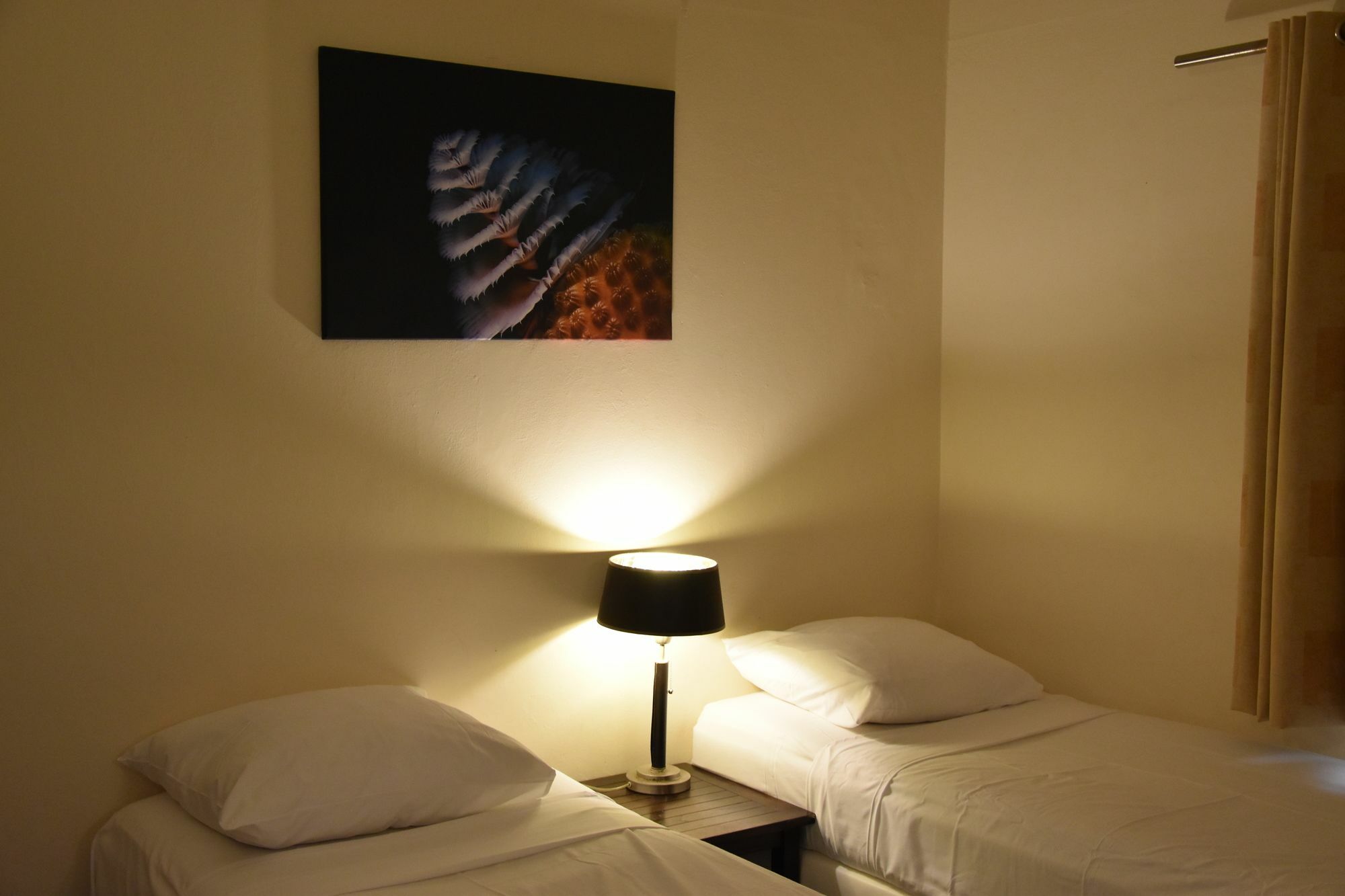 Caribbean Club Bonaire Aparthotel Εξωτερικό φωτογραφία