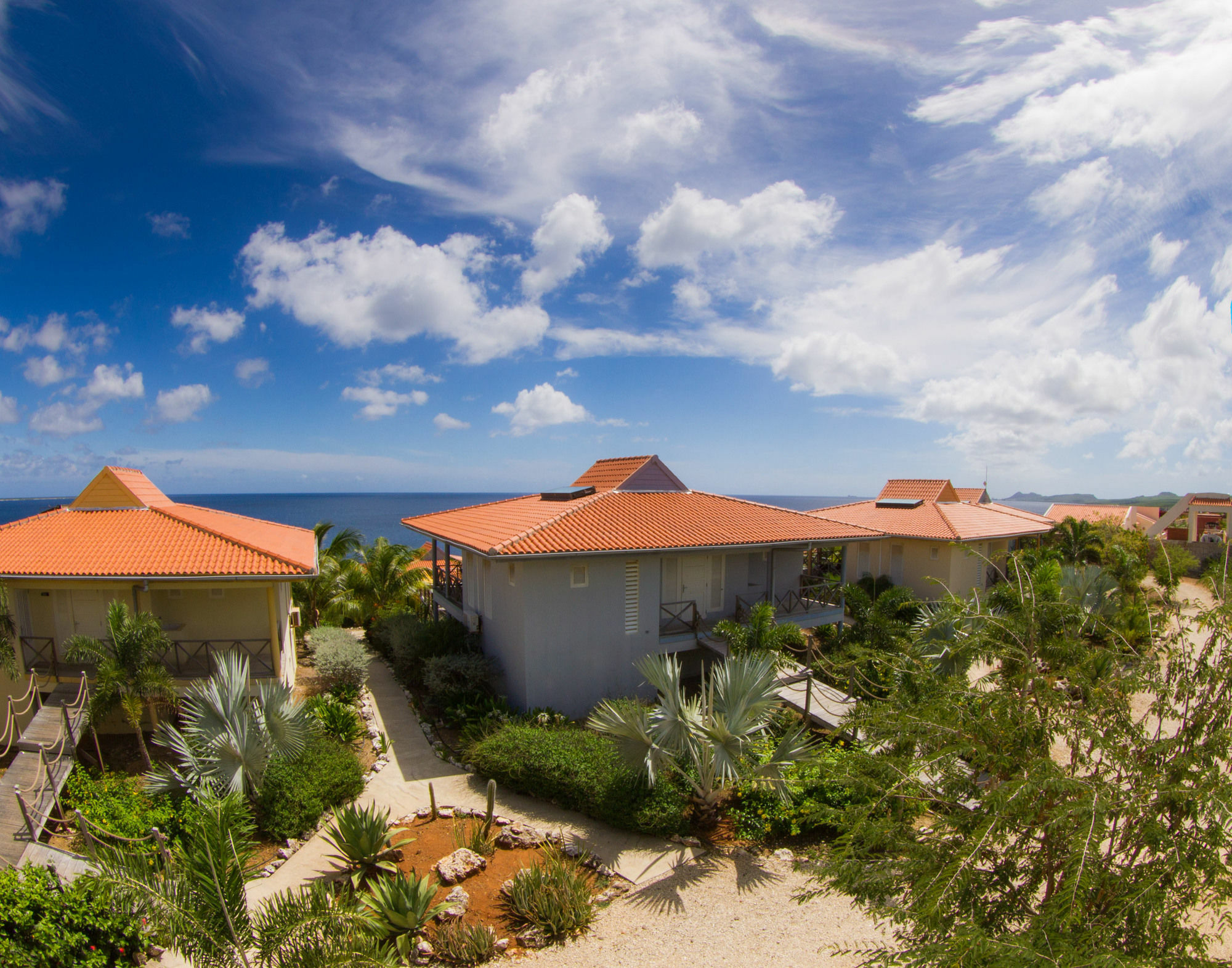 Caribbean Club Bonaire Aparthotel Εξωτερικό φωτογραφία